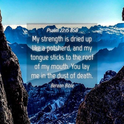 Picture 04 - Psalm 22:15 BSB - My strength is dried up like a potsherd, and my - Bible Verse Picture