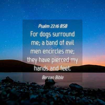 Picture 04 - Psalm 22:16 BSB - For dogs surround me; a band of evil men - Bible Verse Picture