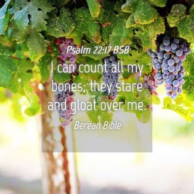 Picture 04 - Psalm 22:17 BSB - I can count all my bones; they stare and gloat - Bible Verse Picture