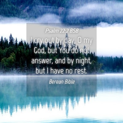 Picture 04 - Psalm 22:2 BSB - I cry out by day, O my God, but You do not - Bible Verse Picture