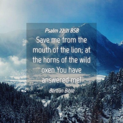 Picture 04 - Psalm 22:21 BSB - Save me from the mouth of the lion; at the horns - Bible Verse Picture