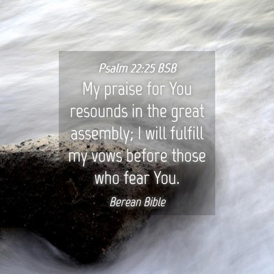 Picture 04 - Psalm 22:25 BSB - My praise for You resounds in the great assembly; - Bible Verse Picture