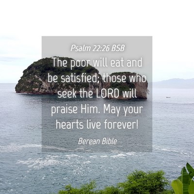 Picture 04 - Psalm 22:26 BSB - The poor will eat and be satisfied; those who - Bible Verse Picture