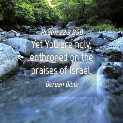 Picture 04 - Psalm 22:3 BSB - Yet You are holy, enthroned on the praises of - Bible Verse Picture