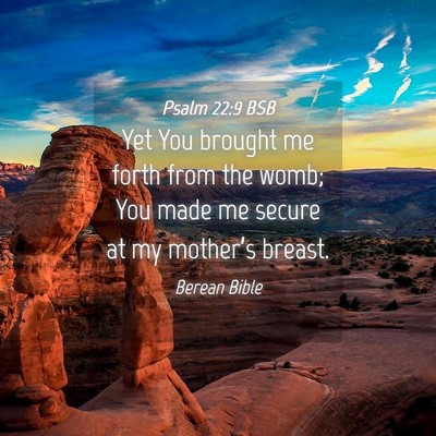Picture 04 - Psalm 22:9 BSB - Yet You brought me forth from the womb; You made - Bible Verse Picture
