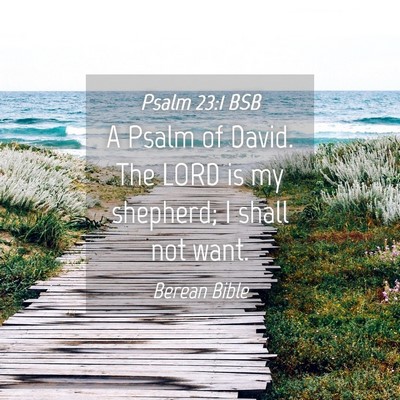 Picture 04 - Psalm 23:1 BSB - A Psalm of David. The LORD is my shepherd; I - Bible Verse Picture