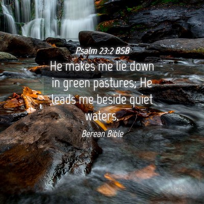 Picture 04 - Psalm 23:2 BSB - He makes me lie down in green pastures; He leads - Bible Verse Picture