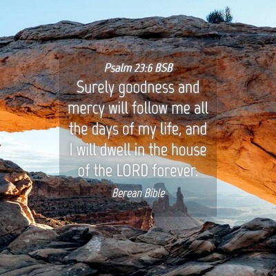 Picture 04 - Psalm 23:6 BSB - Surely goodness and mercy will follow me all the - Bible Verse Picture