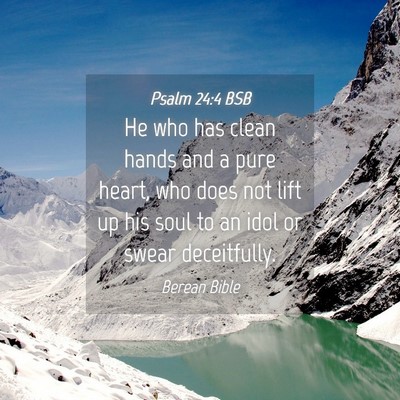 Picture 04 - Psalm 24:4 BSB - He who has clean hands and a pure heart, who does - Bible Verse Picture