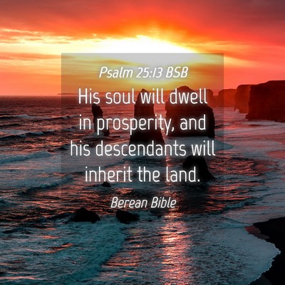 Picture 04 - Psalm 25:13 BSB - His soul will dwell in prosperity, and his - Bible Verse Picture