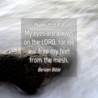 Picture 04 - Psalm 25:15 BSB - My eyes are always on the LORD, for He will free - Bible Verse Picture