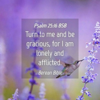 Picture 04 - Psalm 25:16 BSB - Turn to me and be gracious, for I am lonely and - Bible Verse Picture