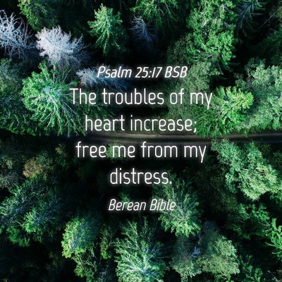 Picture 04 - Psalm 25:17 BSB - The troubles of my heart increase; free me from - Bible Verse Picture