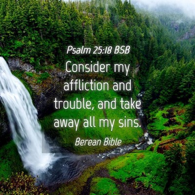 Picture 04 - Psalm 25:18 BSB - Consider my affliction and trouble, and take away - Bible Verse Picture