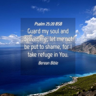 Picture 04 - Psalm 25:20 BSB - Guard my soul and deliver me; let me not be put - Bible Verse Picture