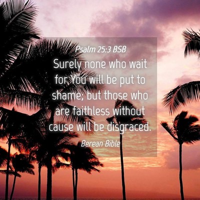 Picture 04 - Psalm 25:3 BSB - Surely none who wait for You will be put to - Bible Verse Picture