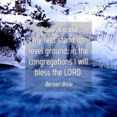 Picture 04 - Psalm 26:12 BSB - My feet stand on level ground; in the - Bible Verse Picture