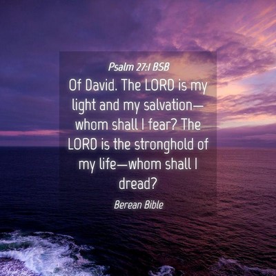 Picture 04 - Psalm 27:1 BSB - Of David. The LORD is my light and my - Bible Verse Picture