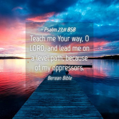 Picture 04 - Psalm 27:11 BSB - Teach me Your way, O LORD, and lead me on a level - Bible Verse Picture