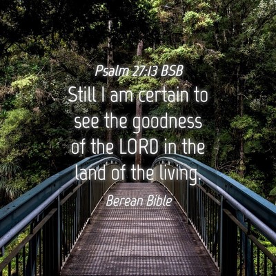 Picture 04 - Psalm 27:13 BSB - Still I am certain to see the goodness of the - Bible Verse Picture