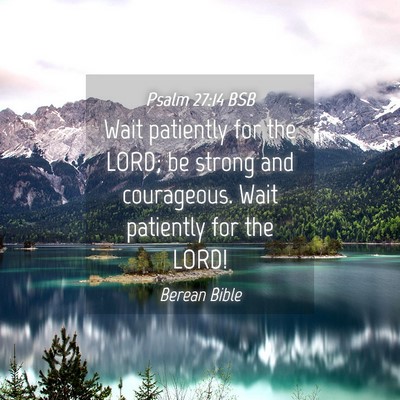 Picture 04 - Psalm 27:14 BSB - Wait patiently for the LORD; be strong and - Bible Verse Picture