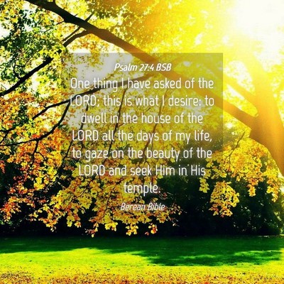 Picture 04 - Psalm 27:4 BSB - One thing I have asked of the LORD; this is what - Bible Verse Picture