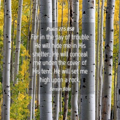 Picture 04 - Psalm 27:5 BSB - For in the day of trouble He will hide me in His - Bible Verse Picture