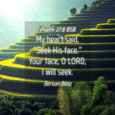 Picture 04 - Psalm 27:8 BSB - My heart said, “Seek His face.” Your face, O - Bible Verse Picture