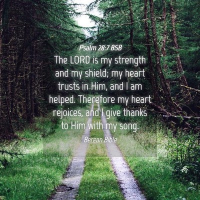 Picture 04 - Psalm 28:7 BSB - The LORD is my strength and my shield; my heart - Bible Verse Picture