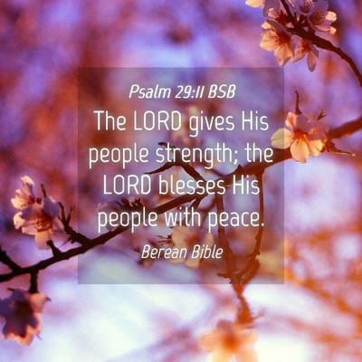 Picture 04 - Psalm 29:11 BSB - The LORD gives His people strength; the LORD - Bible Verse Picture