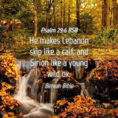 Picture 04 - Psalm 29:6 BSB - He makes Lebanon skip like a calf, and Sirion - Bible Verse Picture