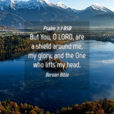 Picture 04 - Psalm 3:3 BSB - But You, O LORD, are a shield around me, my - Bible Verse Picture