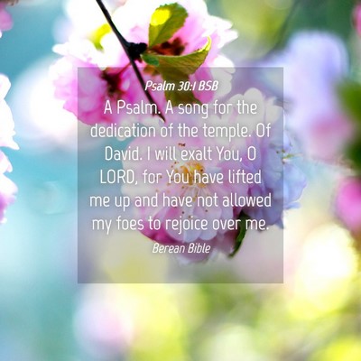 Picture 04 - Psalm 30:1 BSB - A Psalm. A song for the dedication of the temple. - Bible Verse Picture
