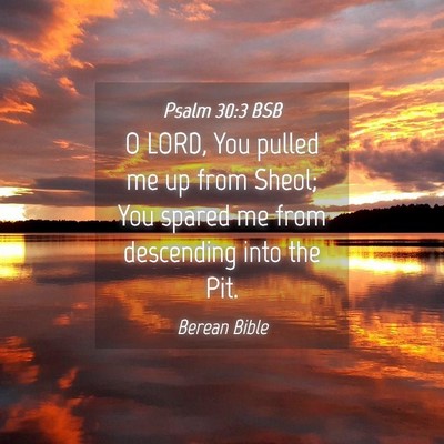 Picture 04 - Psalm 30:3 BSB - O LORD, You pulled me up from Sheol; You spared - Bible Verse Picture