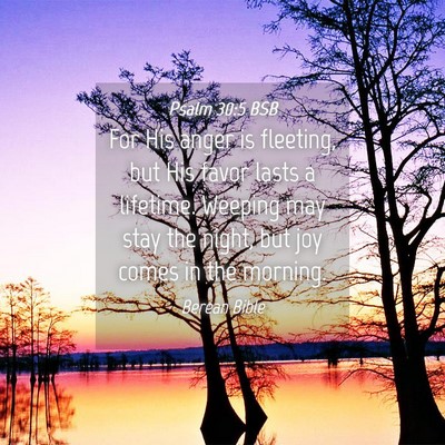 Picture 04 - Psalm 30:5 BSB - For His anger is fleeting, but His favor lasts a - Bible Verse Picture