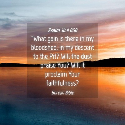 Picture 04 - Psalm 30:9 BSB - “What gain is there in my bloodshed, in my - Bible Verse Picture
