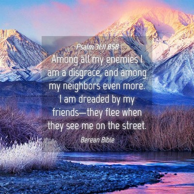 Picture 04 - Psalm 31:11 BSB - Among all my enemies I am a disgrace, and among - Bible Verse Picture