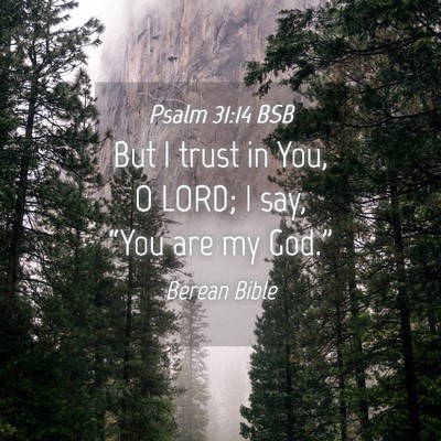 Picture 04 - Psalm 31:14 BSB - But I trust in You, O LORD; I say, “You are my - Bible Verse Picture