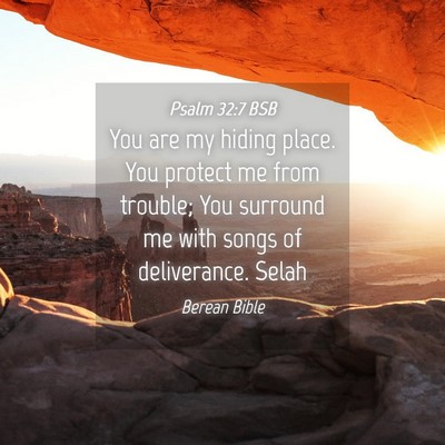 Picture 04 - Psalm 32:7 BSB - You are my hiding place. You protect me from - Bible Verse Picture