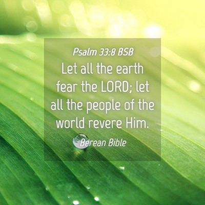 Picture 04 - Psalm 33:8 BSB - Let all the earth fear the LORD; let all the - Bible Verse Picture