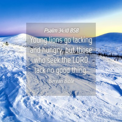 Picture 04 - Psalm 34:10 BSB - Young lions go lacking and hungry, but those who - Bible Verse Picture