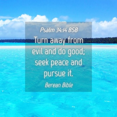 Picture 04 - Psalm 34:14 BSB - Turn away from evil and do good; seek peace and - Bible Verse Picture