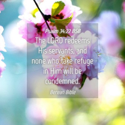 Picture 04 - Psalm 34:22 BSB - The LORD redeems His servants, and none who take - Bible Verse Picture