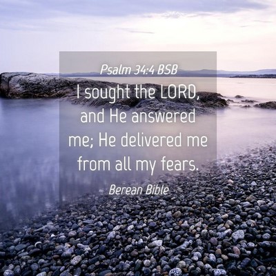 Picture 04 - Psalm 34:4 BSB - I sought the LORD, and He answered me; He - Bible Verse Picture