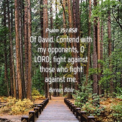 Picture 04 - Psalm 35:1 BSB - Of David. Contend with my opponents, O LORD; - Bible Verse Picture