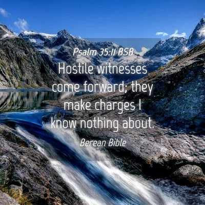 Picture 04 - Psalm 35:11 BSB - Hostile witnesses come forward; they make charges - Bible Verse Picture