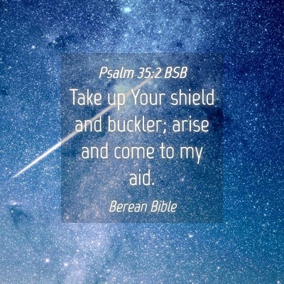 Picture 04 - Psalm 35:2 BSB - Take up Your shield and buckler; arise and come - Bible Verse Picture