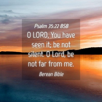 Picture 04 - Psalm 35:22 BSB - O LORD, You have seen it; be not silent. O Lord, - Bible Verse Picture