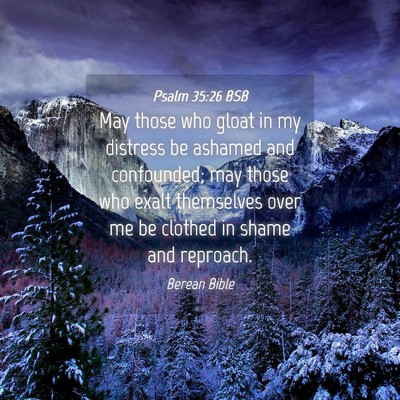 Picture 04 - Psalm 35:26 BSB - May those who gloat in my distress be ashamed and - Bible Verse Picture