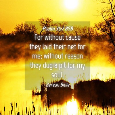 Picture 04 - Psalm 35:7 BSB - For without cause they laid their net for me; - Bible Verse Picture